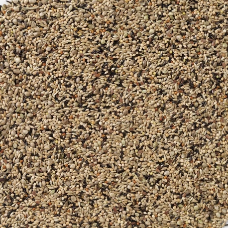 Deli Nature Premium Eupheme 20kg (70) 2 Deli Nature Premium Eupheme 20kg (70) – Image 2