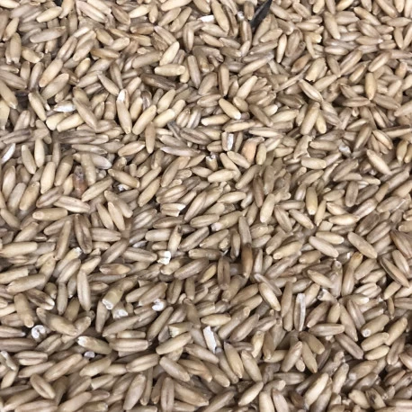 Avoine Pelée 25kg - Beyers 2 Avoine Pelée 25kg - Beyers – Image 2