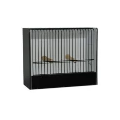 Cage D'exposition Canaris En PVC (23 Barreaux)