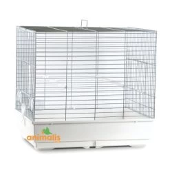 Cage Oiseaux "Clarabella" Chromée Pour Perruches - 70x50x66cm