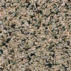 Canaris De Posture Duvo 20Kg -Oiseaux Soldes canaris de posture duvo 20kg 1