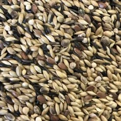 Canaris Suprême Animalis Sans Navette 20 Kg -Oiseaux Soldes canaris supreme animalis sans navette 20 kg 1