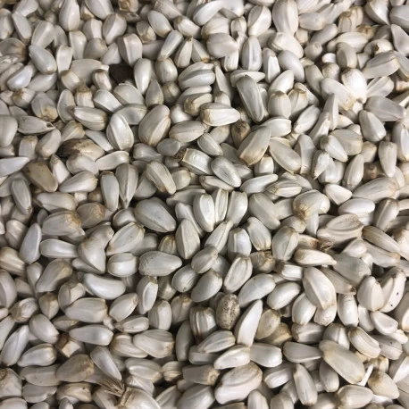 Cardi Extra 15 Kg - Deli Nature 1 Cardi Extra 15 Kg - Deli Nature