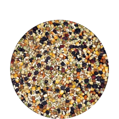 VERSELE-LAGA Champion IC+ Black Label 20kg 2 VERSELE-LAGA Champion IC+ Black Label 20kg – Image 2