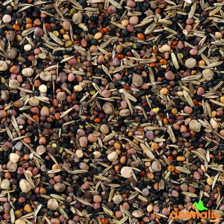 Deli Nature 93 - Graines De Santé Suprème 15kg 2 Deli Nature 93 - Graines De Santé Suprème 15kg – Image 2