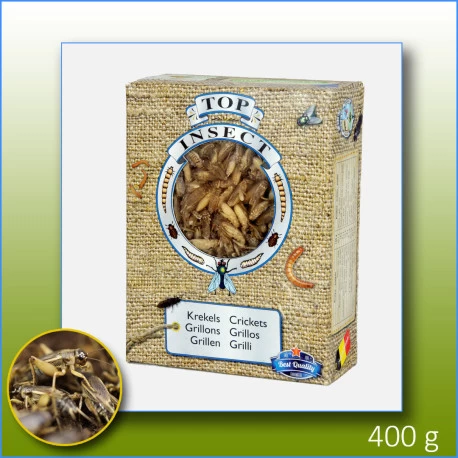 Grillons Congelés 400g - Top Insect 1 Grillons Congelés 400g - Top Insect