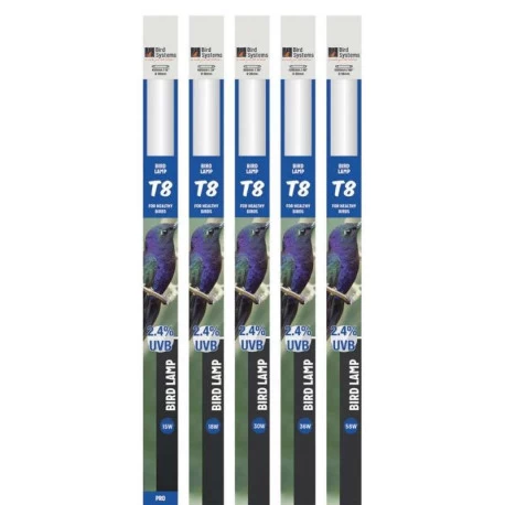 Néon 120cm T8 Bird Lamp 36W - Bird Systems 2 Néon 120cm T8 Bird Lamp 36W - Bird Systems – Image 2