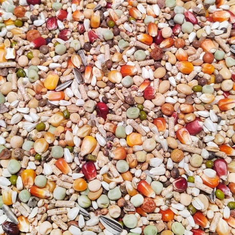 Élevage Pro Revolution 20kg - Numéro 58 - Vanrobaeys 1 Élevage Pro Revolution 20kg - Numéro 58 - Vanrobaeys