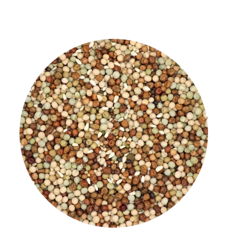 VERSELE-LAGA Mélange Liégeois - 25kg 2 VERSELE-LAGA Mélange Liégeois - 25kg – Image 2