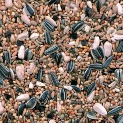 Grandes Perruches Duvo 20 Kg 7 Grandes Perruches Duvo 20 Kg -Oiseaux Soldes melange pour grandes perruches 20 kg duvo 3