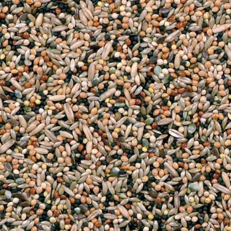 Mélange Volière 20Kg - Duvo 2 Mélange Volière 20Kg - Duvo – Image 2