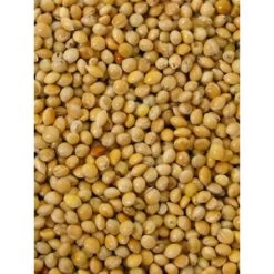 Millet Jaune 20kg