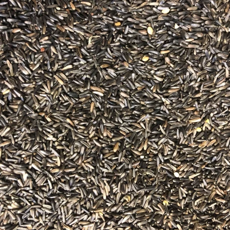 Graines De Niger 15 Kg 2 Graines De Niger 15 Kg – Image 2