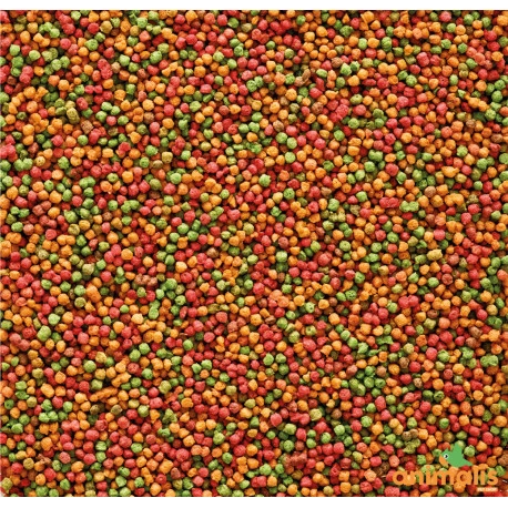 VERSELE-LAGA Nutribird B14 3kg 2 VERSELE-LAGA Nutribird B14 3kg – Image 2