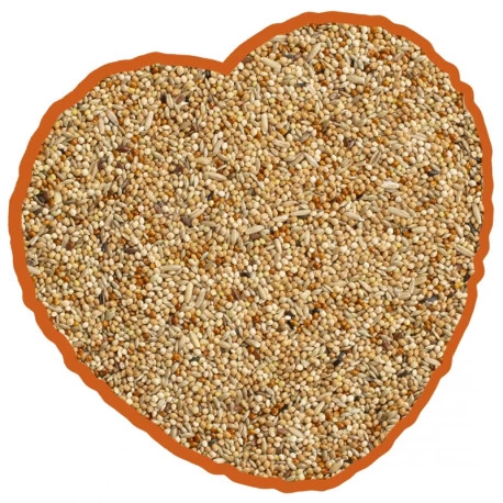 Petites Perruches Duvo 20Kg 2 Petites Perruches Duvo 20Kg – Image 2