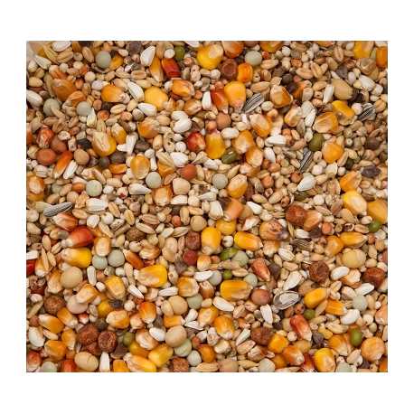 Premium Verkerk Sport 20kg - Beyers 2 Premium Verkerk Sport 20kg - Beyers – Image 2