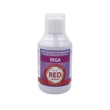 Vega 250 Ml - Vitamines, Acides Aminés Et Électrolytes 1 Vega 250 Ml - Vitamines, Acides Aminés Et Électrolytes